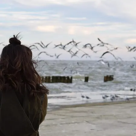 White Pearl 0.14 Апартаменты